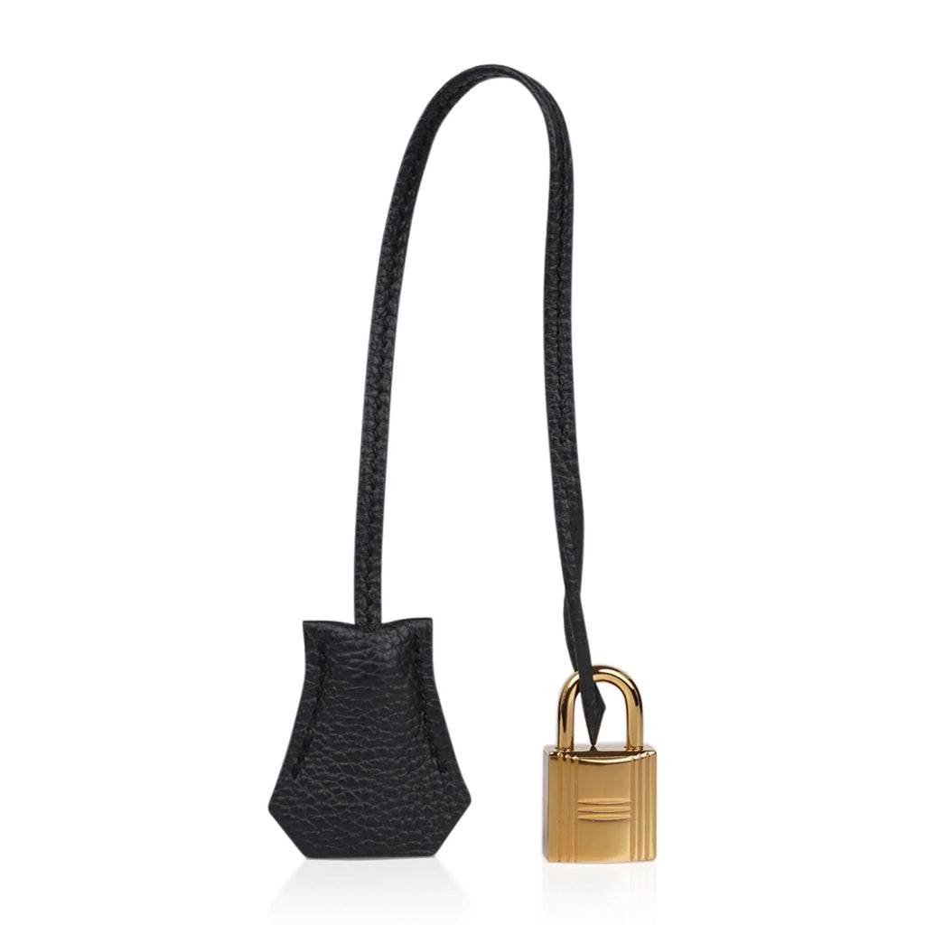 Limited Edition Birkin 35 Bag Plomb (Off Black) Togo Leather with Gold Hardware